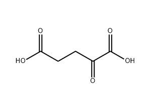 α-酮戊二酸