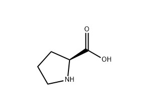 L-脯氨酸