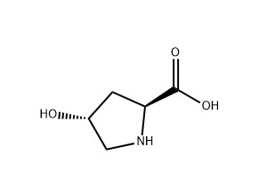 L-羟基脯氨酸