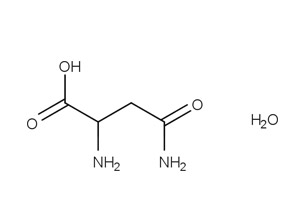 L-天冬酰胺一水物