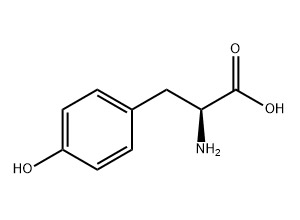L-酪氨酸