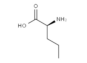 L-正缬氨酸